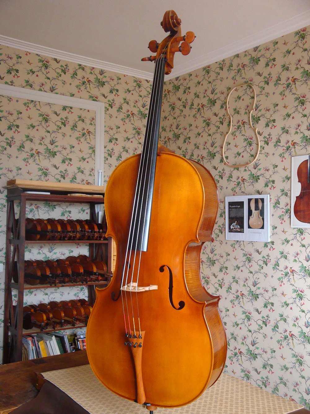 violoncelle-sur-mesure